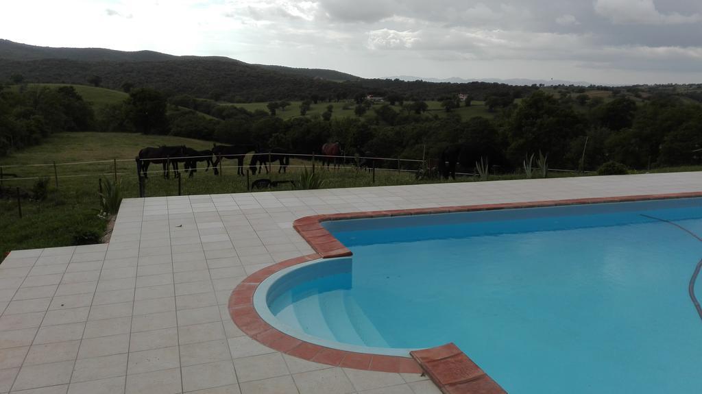 Agriturismo Collelungo Di Maremma Diaccialone Екстериор снимка