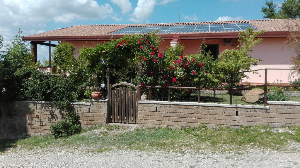 Agriturismo Collelungo Di Maremma Diaccialone Екстериор снимка