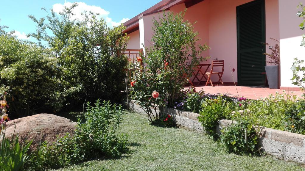 Agriturismo Collelungo Di Maremma Diaccialone Екстериор снимка