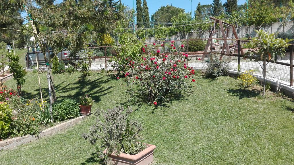 Agriturismo Collelungo Di Maremma Diaccialone Екстериор снимка