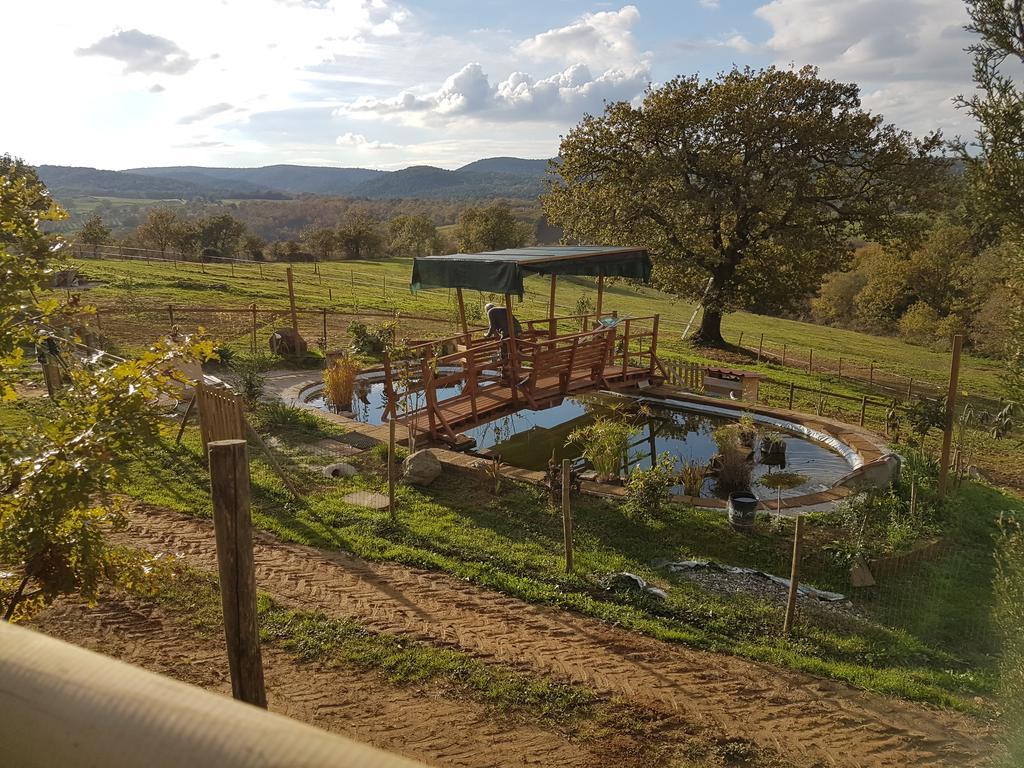 Agriturismo Collelungo Di Maremma Diaccialone Екстериор снимка