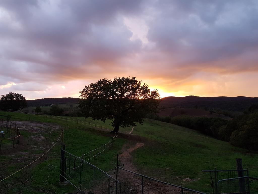 Agriturismo Collelungo Di Maremma Diaccialone Екстериор снимка