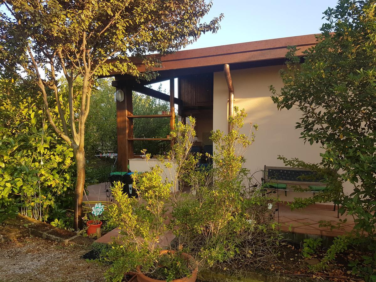 Agriturismo Collelungo Di Maremma Diaccialone Екстериор снимка