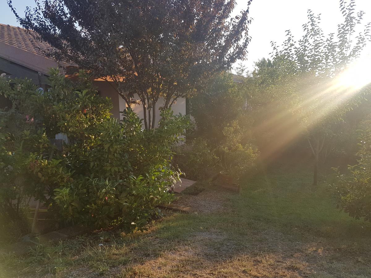 Agriturismo Collelungo Di Maremma Diaccialone Екстериор снимка