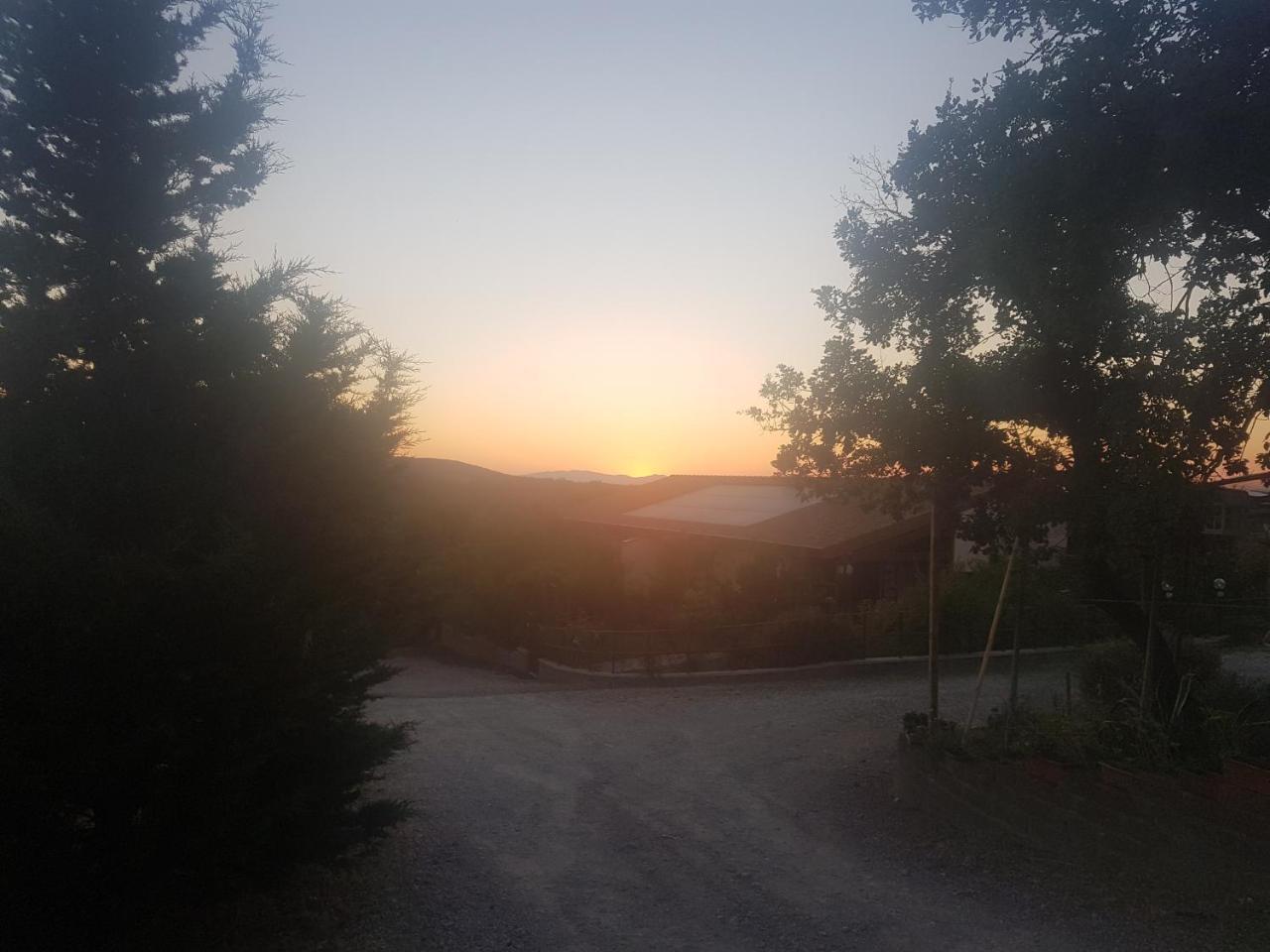 Agriturismo Collelungo Di Maremma Diaccialone Екстериор снимка
